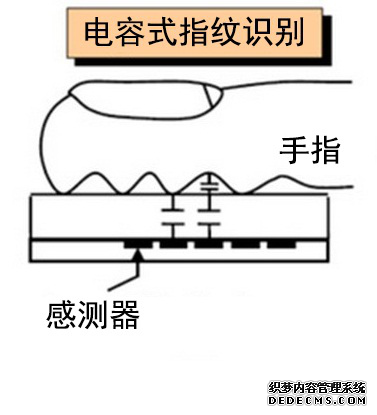 指紋識別系統